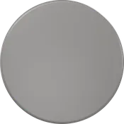 SPEYEGUARD® Portable Peephole Cover, Gray