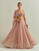 Baby Pink Hand Embroidered Lehenga Set