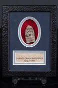 Authentic Bullet from Pickett’s Charge, Gettysburg Battlefield, July 3, 1863 In Collectors Glass Case