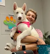 Puppy Kindergarten 🐾 10/10/26 Saturdays @10am 🐕 — Ohana Pet