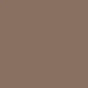 5. POOL DECK PLUS - ADVANCED ACRYLIC DECK PAINT - 1 GALLON
