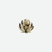 Artichoke Agave