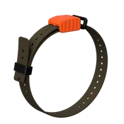 1" Replacement E-Collar Strap