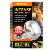 Exo Terra: Intense Basking Spotlight