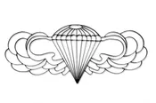 Airborne Symbol Metal Wall Art and Decor