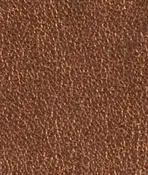 Vienna Metallic