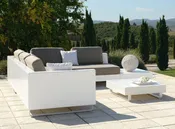 Allure Sectional Sofa Fiberglass by Rausch