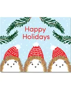 C302 Hedgehog Holidays