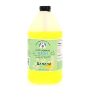 Banana – Sugar-Free Ready-to-Use Slush Syrup – Half Gallon (64 Fl oz)