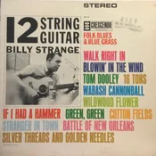 12 String Guitar