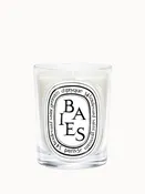 Baies (Berries) Classic Candle