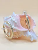 Pave Hoops — Salt Boutique (Copy)