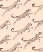Amazon Big Cat Wallpaper