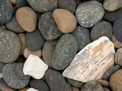 Mexican Beach Buttons