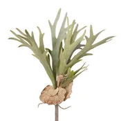 22" Staghorn Fern - Flocked