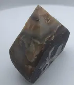Brazilian Agate Beak