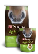 Apple & Oat Horse Treats