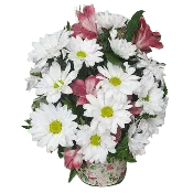 Petite Blossoms