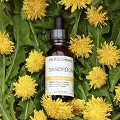 Dandelion Tincture - 1 oz