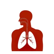 Airway Training Module