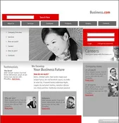 Website Hosting
