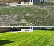 Aeration & Overseeding