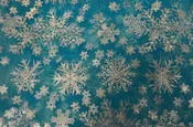 Metallic Snowflake Organza Fabric | Aqua Iridescent Organza with Christmas Snowflakes | 60 Inch Wide | For Costumes Decor & Overlays