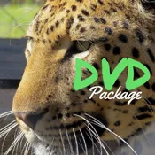 Brian In The Wild- DVD