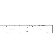 24.3-inch, 25.25-inch Fret Slotting Template