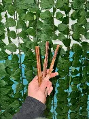 Bully Sticks — Dog Days Grooming & All Natural Retail