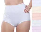 Full Coverage, Elastic Leg, Cotton Brief, Assorted Pastel 10-Pack (Style 122PA)