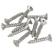 #10 Stainless Steel Saddle Screws (10 pk)