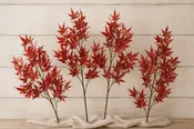 Maple Branches — The Barn