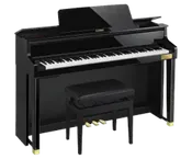 Celviano GP-510