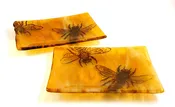 Bee Trays — Home & Garden Just Got Way Cooler.
