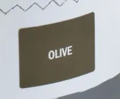 Sample Tin (120mL) of Olive Chalk Paint® by Annie Sloan