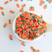 Clay Confetti | Carrots