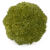 3" Tea Green Berry Ball
