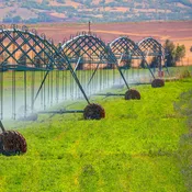 Pivot Monitor