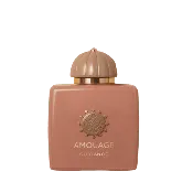 Amouage Guidance