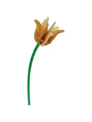 3D Flower Large - Yellow Tulip