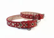 Jaxon Leather Dog Collar with Nickel Eyelet & Stud Cluster