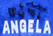 12 Black Plated Steel Pickguard And Control Plate Mounting Screws For Import Guitars, #BPG