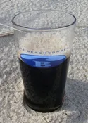 Beachcomber Pint Glass