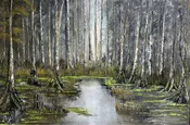 Dark Marsh
