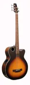 EBR1-TB5 Acoustic-Electric Bass
