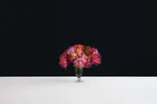 Fantin Arrangement — Bolingbrook Glass & Mirror