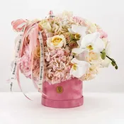Baby Girl Bloom Box