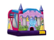 4N1 Princess Slide Combo w/Hoop