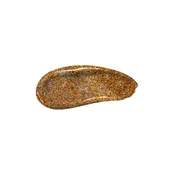 Asteroid